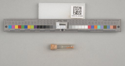 NSF ADBC EPICC TCN