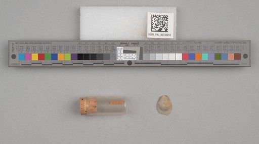 NSF ADBC EPICC TCN