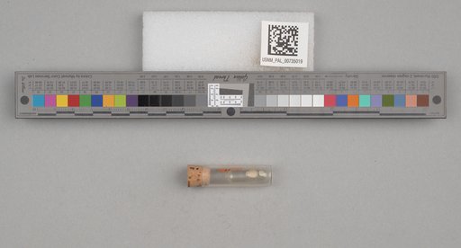 NSF ADBC EPICC TCN