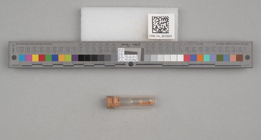 NSF ADBC EPICC TCN