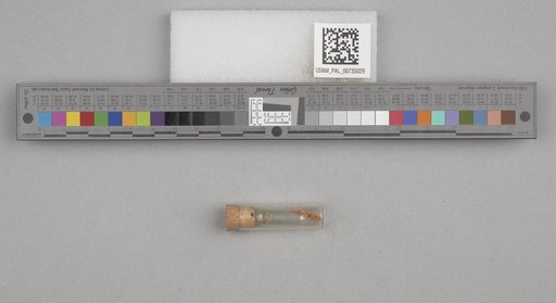 NSF ADBC EPICC TCN
