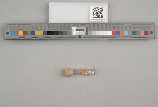 NSF ADBC EPICC TCN