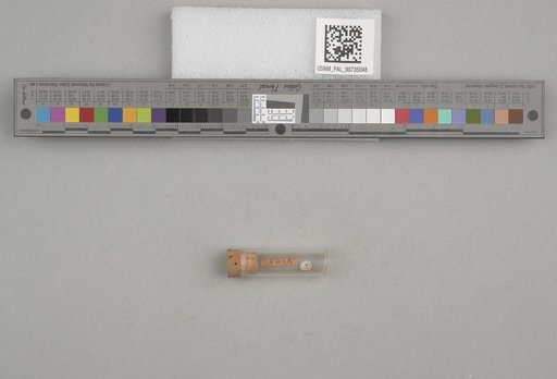 NSF ADBC EPICC TCN