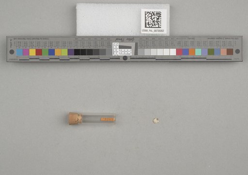 NSF ADBC EPICC TCN