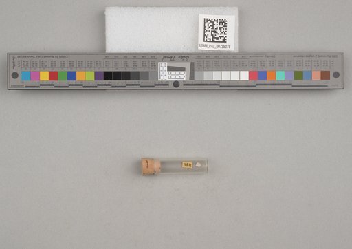 NSF ADBC EPICC TCN