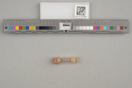 NSF ADBC EPICC TCN
