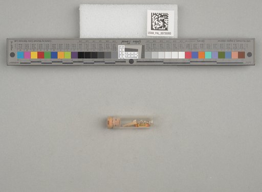NSF ADBC EPICC TCN