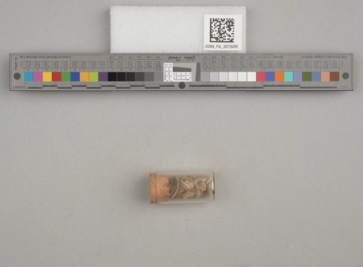 NSF ADBC EPICC TCN