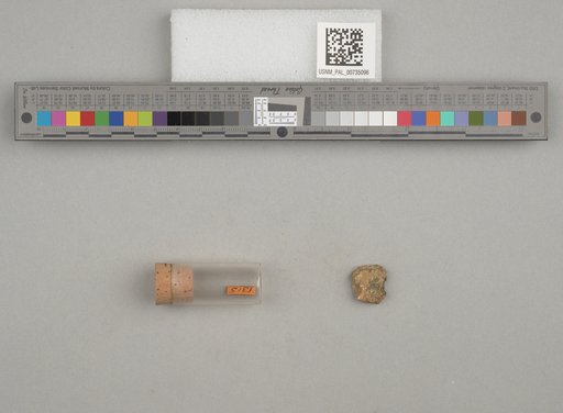 NSF ADBC EPICC TCN