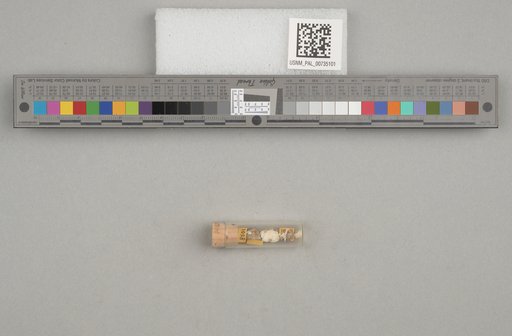 NSF ADBC EPICC TCN