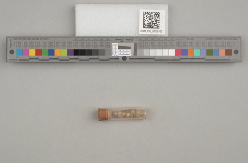 NSF ADBC EPICC TCN
