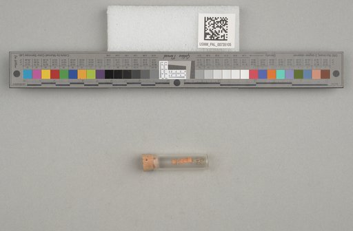 NSF ADBC EPICC TCN