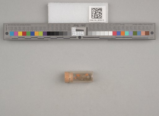 NSF ADBC EPICC TCN