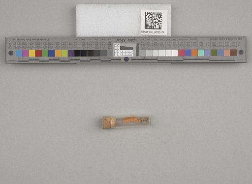 NSF ADBC EPICC TCN