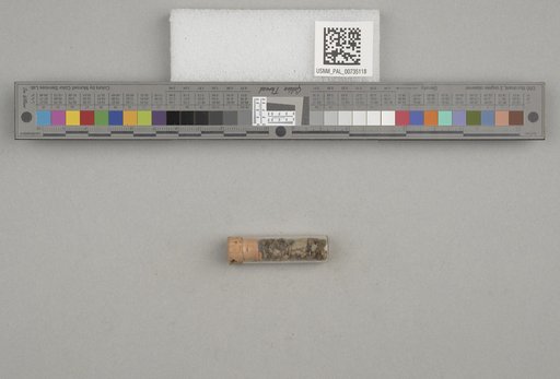 NSF ADBC EPICC TCN