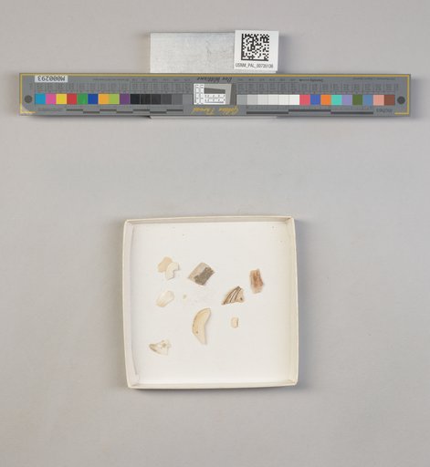 NSF ADBC EPICC TCN