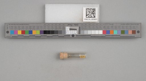 NSF ADBC EPICC TCN