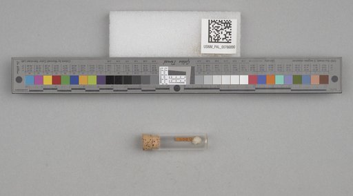 NSF ADBC EPICC TCN