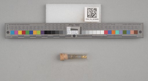 NSF ADBC EPICC TCN