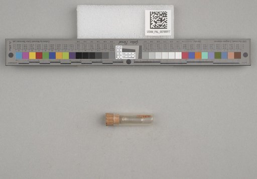 NSF ADBC EPICC TCN
