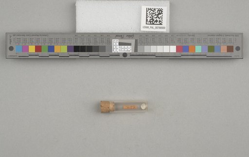 NSF ADBC EPICC TCN