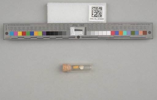 NSF ADBC EPICC TCN