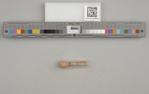 NSF ADBC EPICC TCN