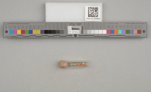 NSF ADBC EPICC TCN