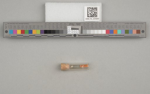 NSF ADBC EPICC TCN