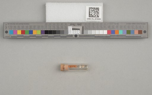 NSF ADBC EPICC TCN