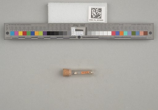 NSF ADBC EPICC TCN