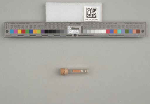 NSF ADBC EPICC TCN