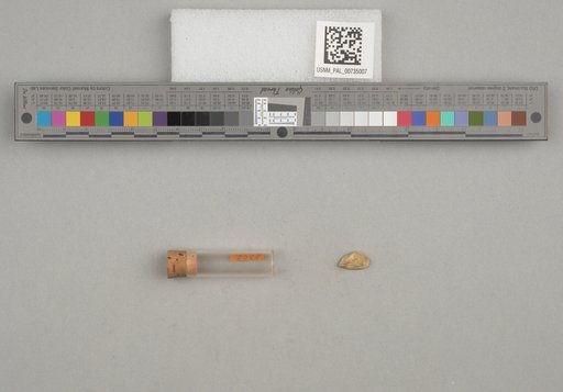 NSF ADBC EPICC TCN