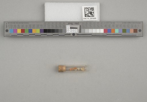 NSF ADBC EPICC TCN