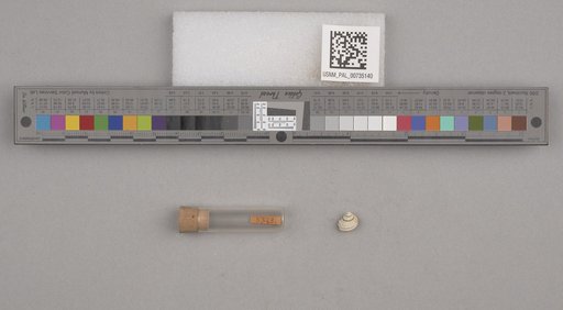 NSF ADBC EPICC TCN