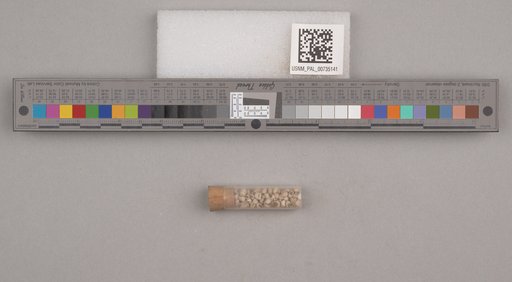 NSF ADBC EPICC TCN