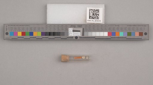 NSF ADBC EPICC TCN