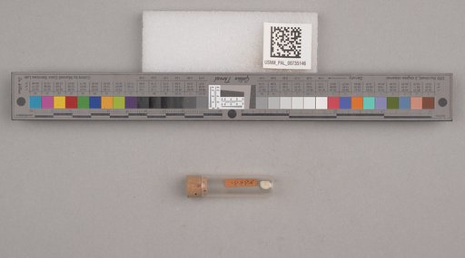NSF ADBC EPICC TCN