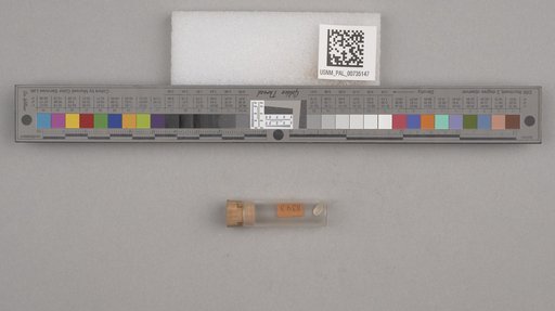 NSF ADBC EPICC TCN