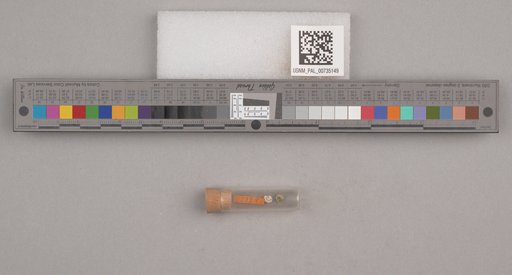 NSF ADBC EPICC TCN
