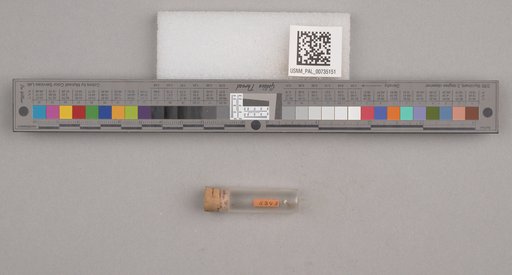 NSF ADBC EPICC TCN