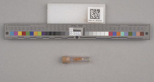 NSF ADBC EPICC TCN