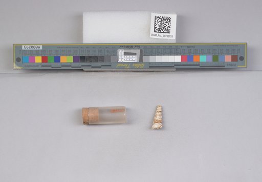 NSF ADBC EPICC TCN