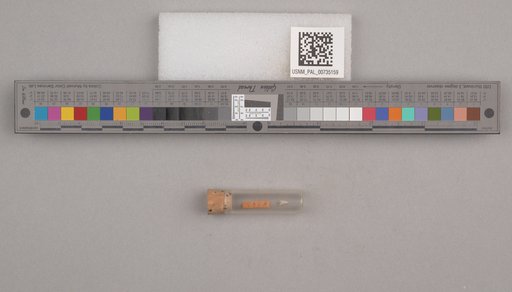 NSF ADBC EPICC TCN