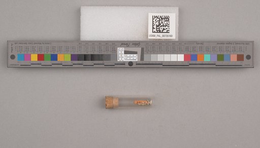 NSF ADBC EPICC TCN