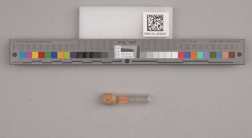 NSF ADBC EPICC TCN