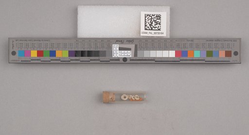 NSF ADBC EPICC TCN