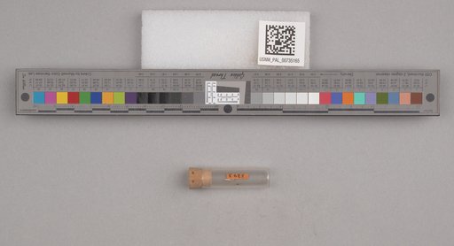 NSF ADBC EPICC TCN