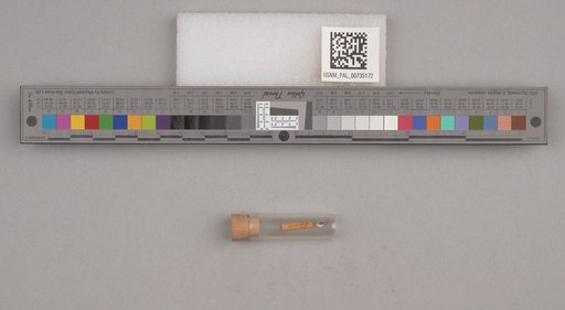 NSF ADBC EPICC TCN