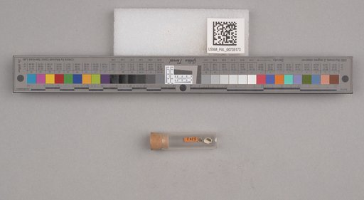 NSF ADBC EPICC TCN
